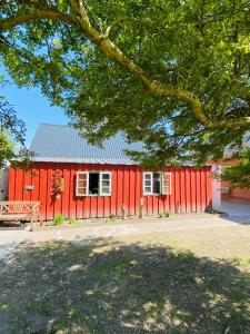a red barn with a bench in front of it at HaRe Ferienwohnungen in Langeneß