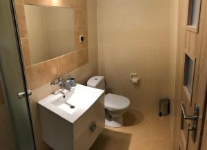 bagno con lavandino, servizi igienici e specchio di Pokoje nad Dymnem a Koczała