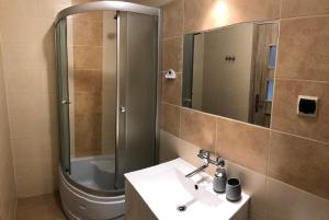 a bathroom with a shower and a sink and a mirror at Pokoje nad Dymnem in Koczała