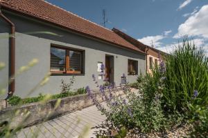Zahrada ubytování Ubytování 121 - Hlohovec