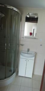 a bathroom with a shower and a toilet and a sink at Agroturystyka Rewita in Darłowo