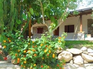 a bush with orange flowers in front of a house at Sunset Lodge in Paola