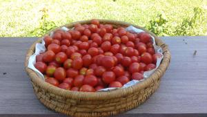 a basket of tomatoes sitting on a wooden table at Sunset Lodge in Paola