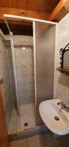 a shower and a sink in a bathroom at Baita di montagna Stavel in Vermiglio