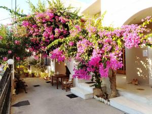 Gallery image of Irini Apartments in Platanias