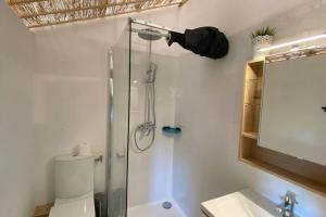 a bathroom with a shower and a toilet and a sink at Loire Nature, proche de la ville in Orléans