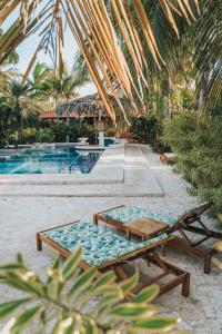 una piscina con una mesa y un banco al lado en Drift Away Lodge, en Playa Avellana