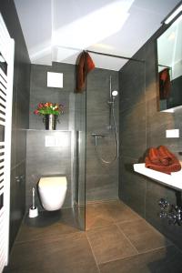 Un baño con ducha, inodoro y lavabo. en Überlinger See-Apartments Apartment 6 Über-See, en Überlingen