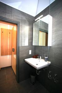 un baño con lavabo y espejo en Überlinger See-Apartments Apartment 10 Über-See, en Überlingen