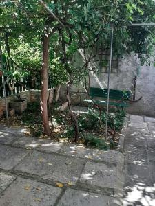 a green park bench next to a tree at House Markovina in Cres