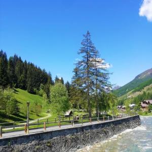 a tree on a bridge over a river at Apartments "STELLA ALPINA" in Santa Caterina Valfurva