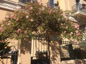 un edificio con rosas rosas en una valla en Au petit Marius, en Cannes