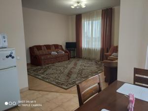 ムカチェヴォにあるApartments Domovik квартира с видом на гори Парканія 21のソファとテーブルのあるリビングルーム