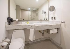 a bathroom with a sink and a toilet and a mirror at Presidente InterContinental Guadalajara, an IHG Hotel in Guadalajara