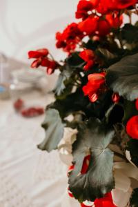 un ramo de flores rojas sentado en una mesa en B&B Palazzo Storico Di Nicola, en Pescara