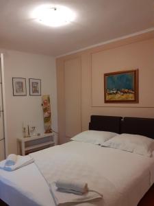 Afbeelding uit fotogalerij van Apartment Andreja in Senj