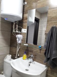 a bathroom with a sink and a mirror at Stefan 16-50 in Bălţi