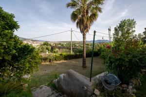 Táj Show holiday homes közelében