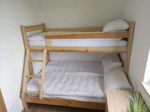 a couple of bunk beds in a room at Tęczowe Lato in Sarbinowo