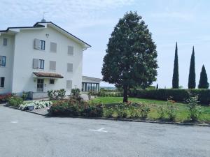 A garden outside Hotel Valbella