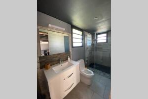 a bathroom with a white sink and a toilet at Agréable chalet Au milieu des sapins in La Plaine des Cafres