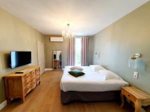 - une chambre avec un grand lit et une télévision à écran plat dans l'établissement Hôtel U Frascone, à Venaco