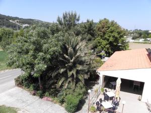 an overhead view of a palm tree and a building at Apartments Lopar (893) in Lopar