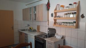 a small kitchen with a stove and a sink at Apartman Oasis 2 Ilidza in Sarajevo