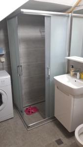 a bathroom with a shower with a sink and a washing machine at Apartman Oasis 2 Ilidza in Sarajevo