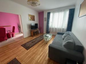 Televízia a/alebo spoločenská miestnosť v ubytovaní Apartment Domino