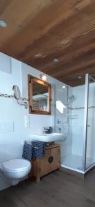 a bathroom with a toilet and a sink and a shower at seitzDAHEIM in Bad Hindelang