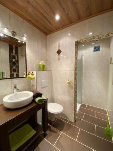 een badkamer met een wastafel, een toilet en een douche bij Gasthof Wölger in Admont