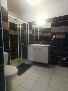 La salle de bains est pourvue de toilettes, d'un lavabo et d'une douche. dans l'établissement Appartement T2 accessible PMR avec terrasse et garage, à Onet le Château