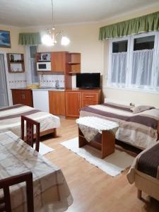 ein Wohnzimmer mit 2 Betten und eine Küche in der Unterkunft Molnár Apartment in Sárvár