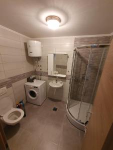 La salle de bains est pourvue d'une douche, de toilettes et d'un lavabo. dans l'établissement Sunshine, à Trebinje
