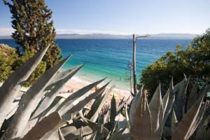 a view of a beach with a cactus at Bungalows Ivan (3757) in Bol