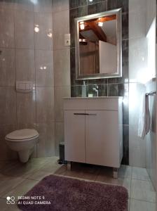 a bathroom with a toilet and a sink and a mirror at Studio Makala in Trogir