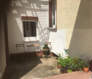 Zahrada ubytování Ferienwohnung im Springerhof