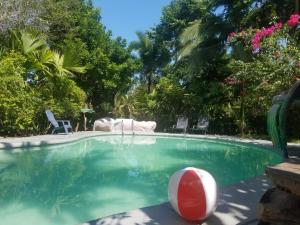 une piscine avec un ballon rouge et blanc dans l'eau dans l'établissement Hotel El Colibri Rojo - Cabinas - Le Colibri Rouge, à Cahuita