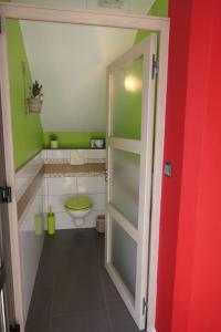 a bathroom with a toilet and a green wall at Au Petit Paradis in Ammerschwihr