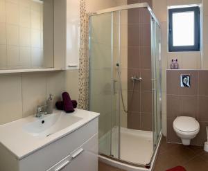 a bathroom with a shower and a sink and a toilet at Villa Riki in Živogošće