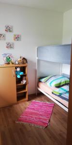 a bedroom with a bunk bed with a pink rug at Ferienhaus Rosenberg in Jandelsbrunn