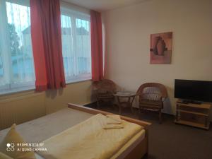 a bedroom with a bed and a tv and a table at ALTE MOLKEREI Wolgast in Wolgast +8 photos