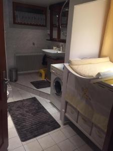 a laundry room with a washing machine and a sink at Zugspitzhaus Monika in Lermoos