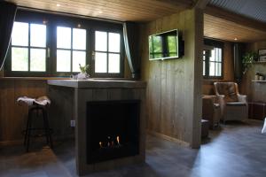 een woonkamer met een open haard en een wastafel bij Inn The Woods - Private Stay in Overberg