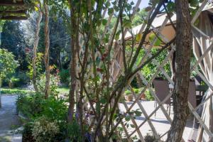 Zahrada ubytování Apartment in Rovinj with Terrace, Air condition, WIFI, Washing machine (4686-2)