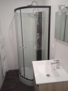 La salle de bains est pourvue d'une douche et d'un lavabo. dans l'établissement Au petit dormant, à Saint-Sauveur-en-Puisaye