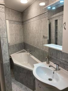 a bathroom with a sink and a bath tub at Boróka Apartman Gyula in Gyula