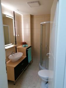 een badkamer met een wastafel, een toilet en een douche bij Emili Apartman in Jagodina