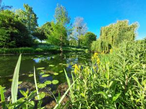 een rivier met lelies in het water bij AlsaceTime, CENTRE Parking gratuit, TRAM WIFI, Fibre Orange, espace de travail in Straatsburg